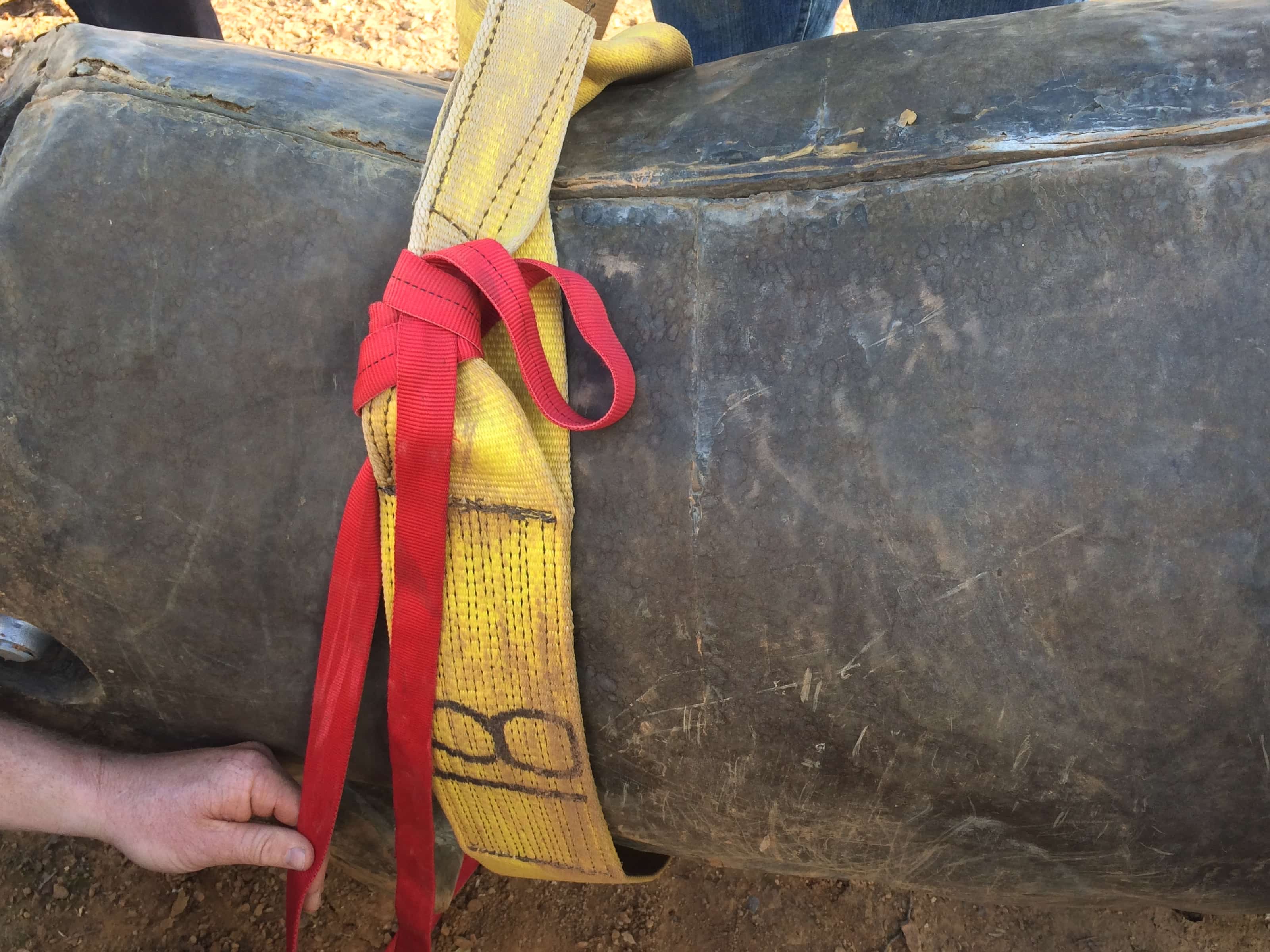 Technical Large Animal Rescue MANEUVER Drag, Lift, Roll